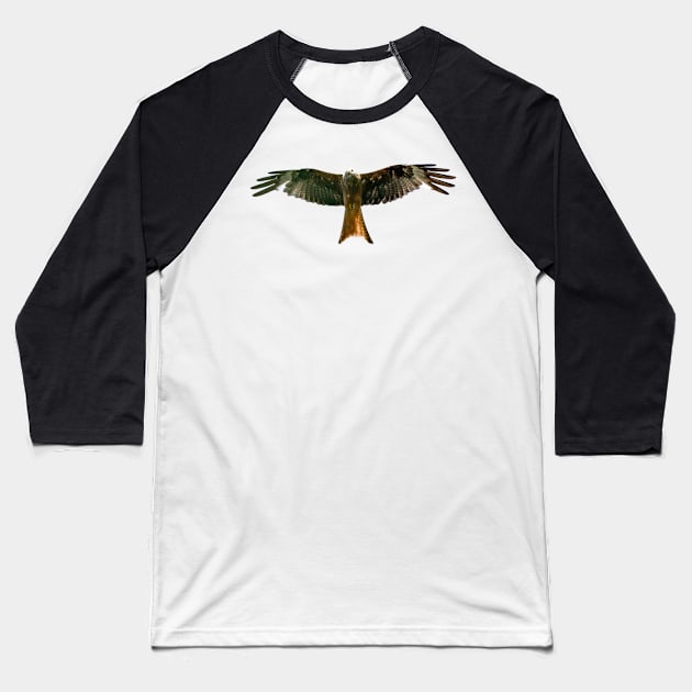 Red Kite Baseball T-Shirt by Shirasaya